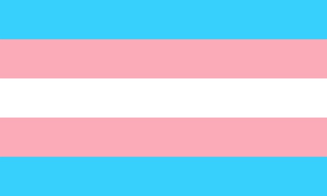 TransgenderFlag