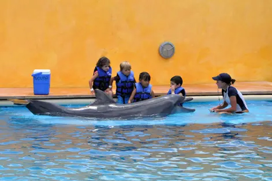Tips for Travelling with Infants and Small Children