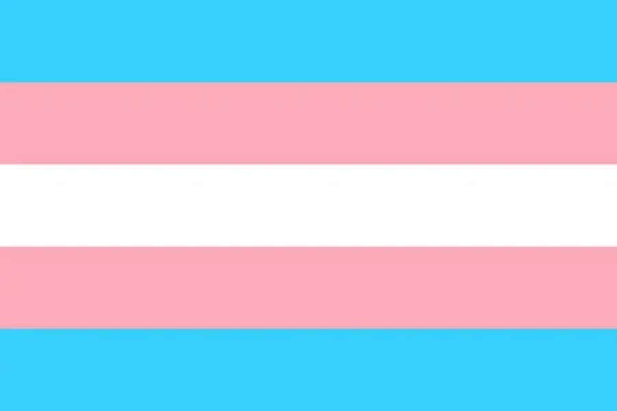 How Do I Change My Gender / Sex Designation On Identity Documents In Ontario?